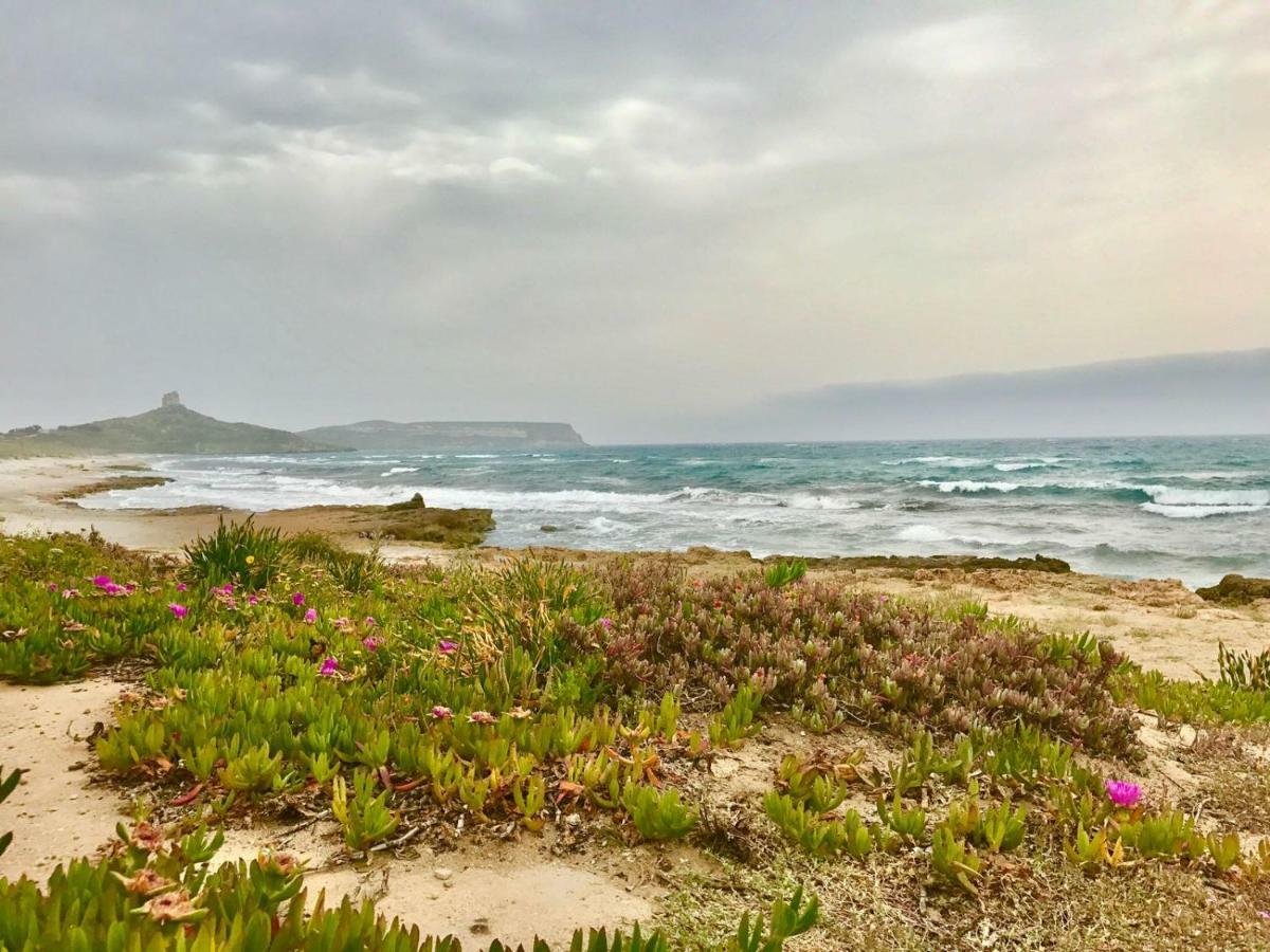 West Sardinia Apartments Càbras Екстериор снимка